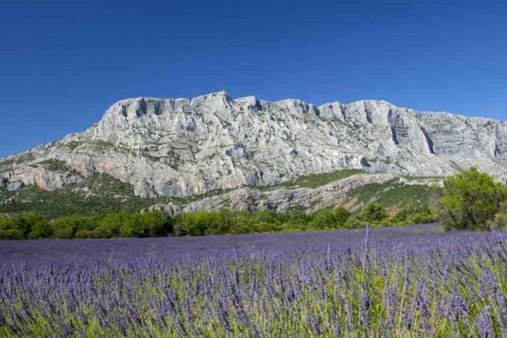 Appartement Avec Deux Chambres Centre Ville Aixois Aix-en-Provence Exteriör bild